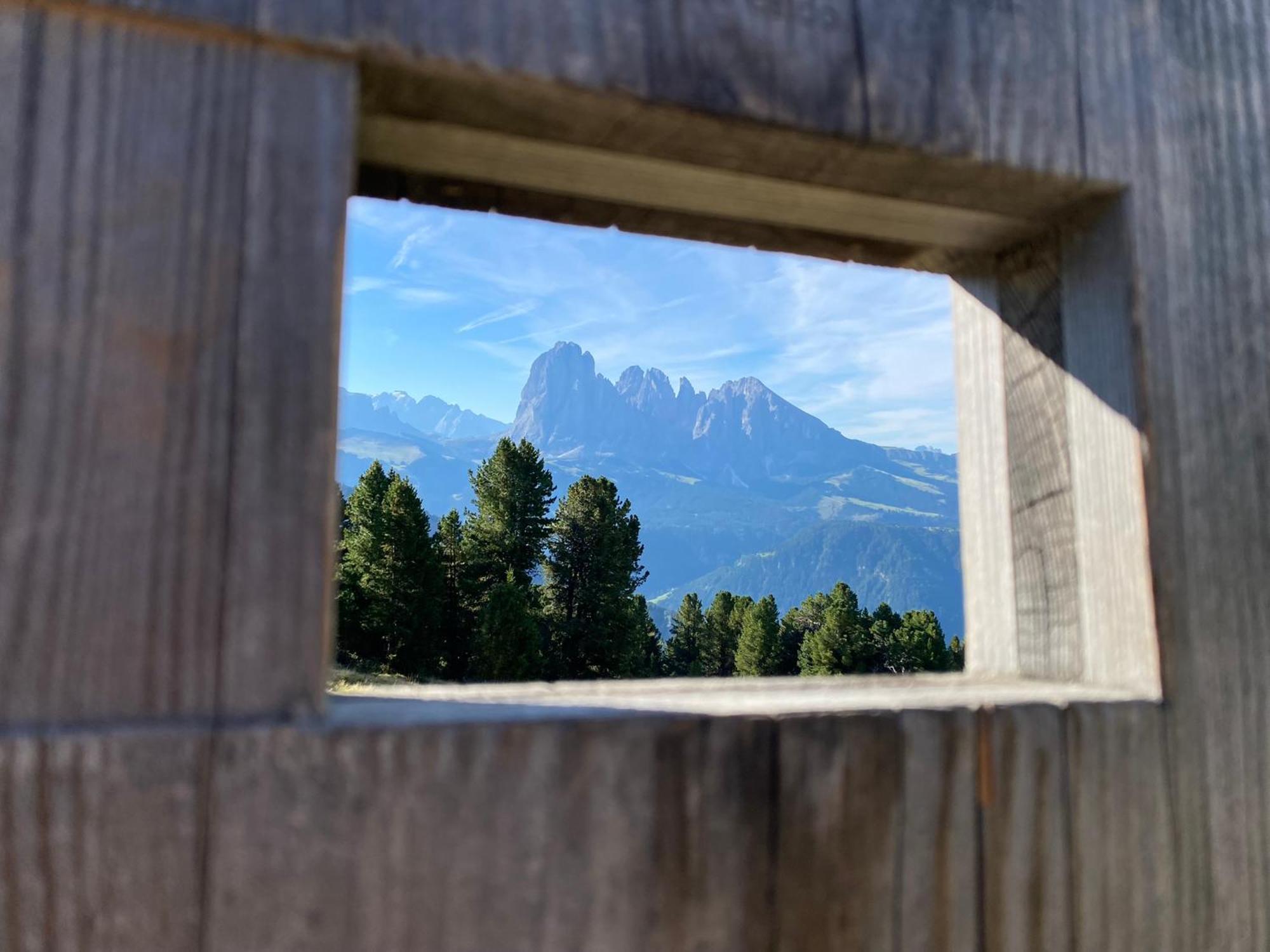 Apartment Nido Selva di Val Gardena Eksteriør bilde