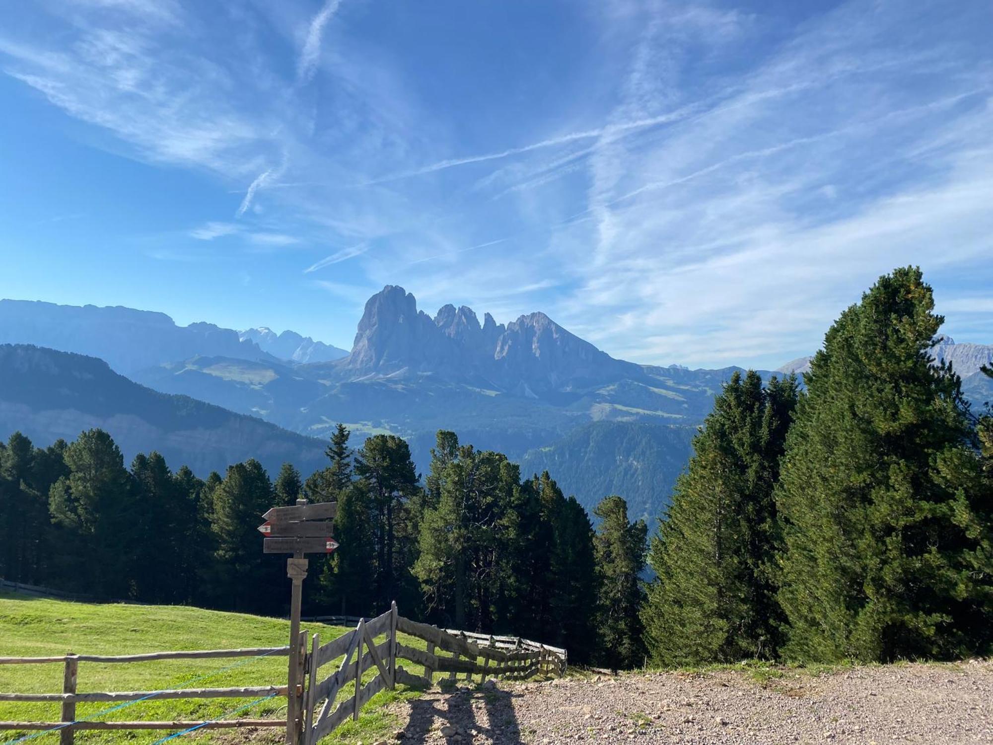 Apartment Nido Selva di Val Gardena Eksteriør bilde