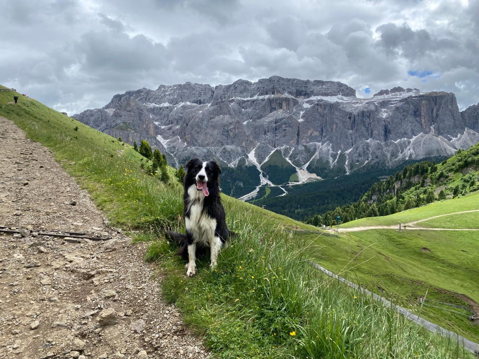 Apartment Nido Selva di Val Gardena Eksteriør bilde