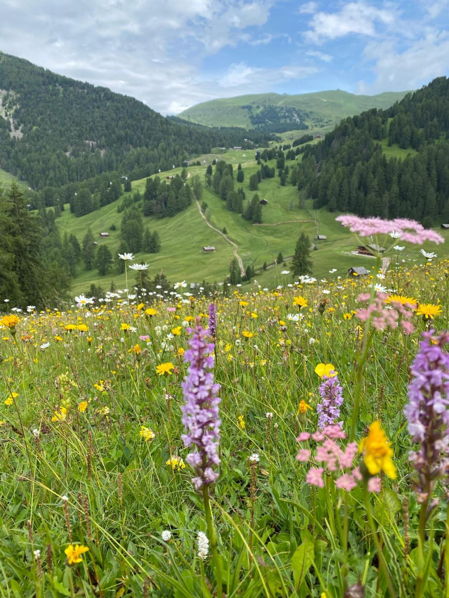 Apartment Nido Selva di Val Gardena Eksteriør bilde