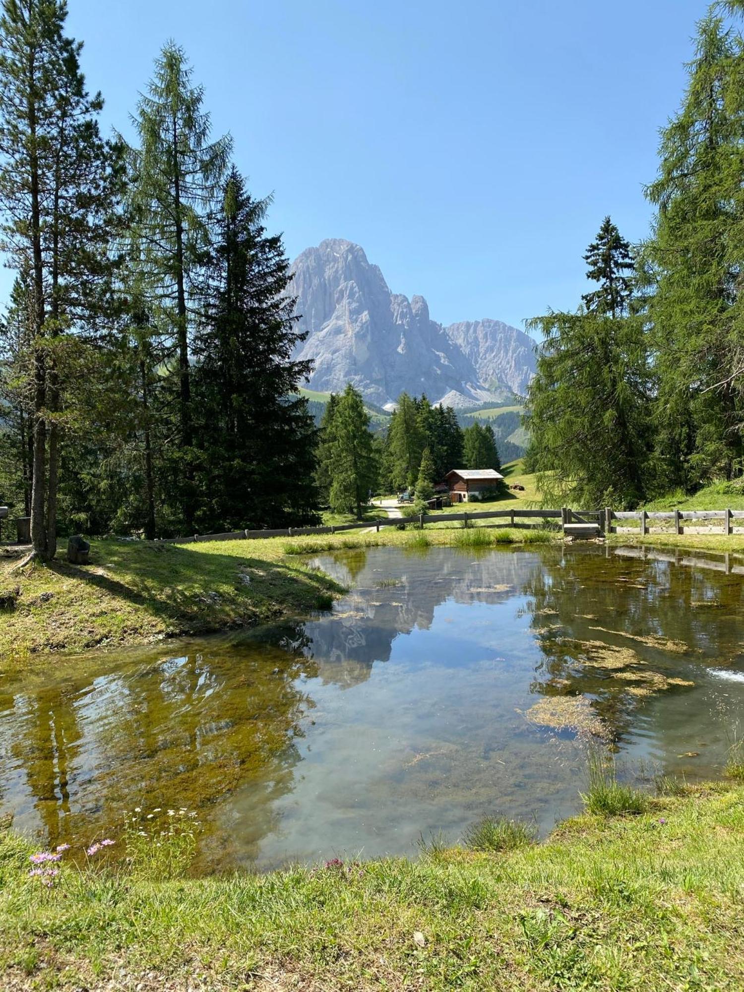 Apartment Nido Selva di Val Gardena Eksteriør bilde